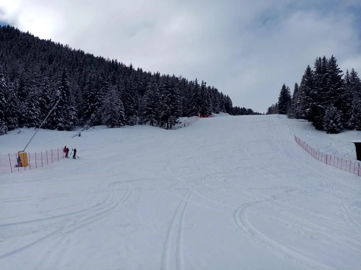 Comodo alloggio con accesso diretto alle piste Santa Caterina Valfurva Italia